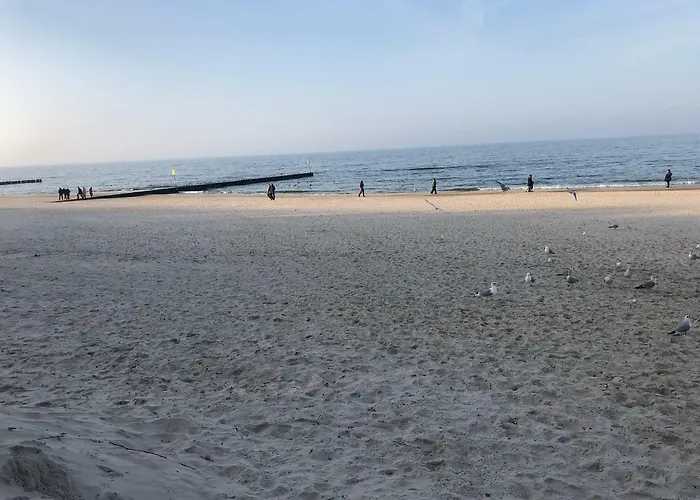 Blizej Morza Sorrento Z Garazem Apartamento *